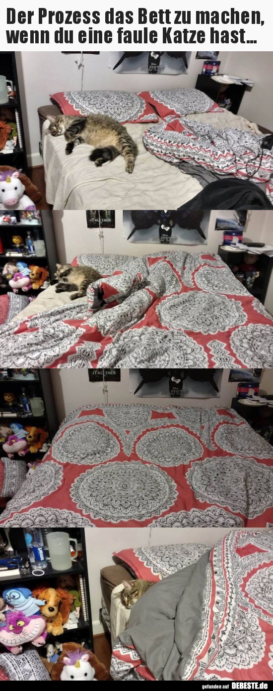 Der Prozess das Bett zu machen, wenn du eine faule Katze.. - Lustige Bilder | DEBESTE.de