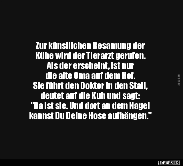 Zur künstlichen Besamung der Kühe wird der Tierarzt.. - Lustige Bilder | DEBESTE.de