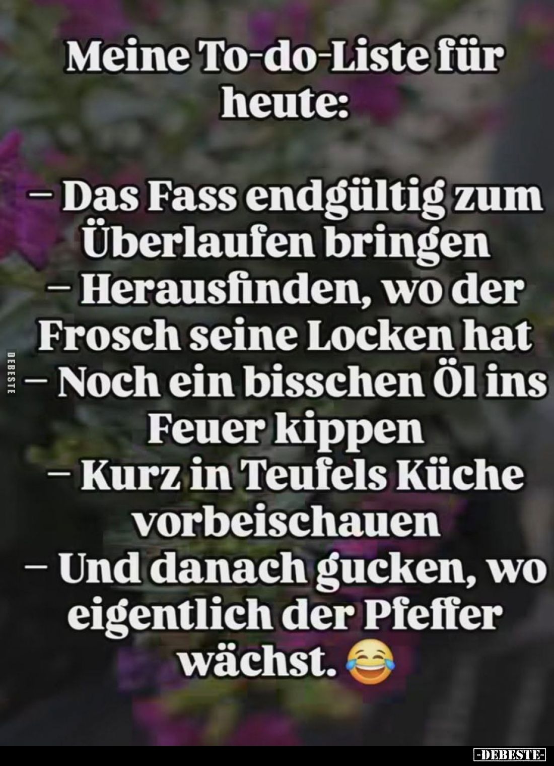 Meine To-do-Liste für heute:
- Das Fass endgültig zum Überlaufen bringen
- Herausfinden, wo der Frosch seine Locken hat
- ...