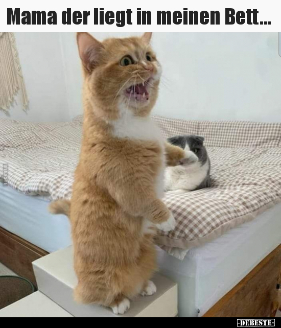 Mama der liegt in meinen Bett...