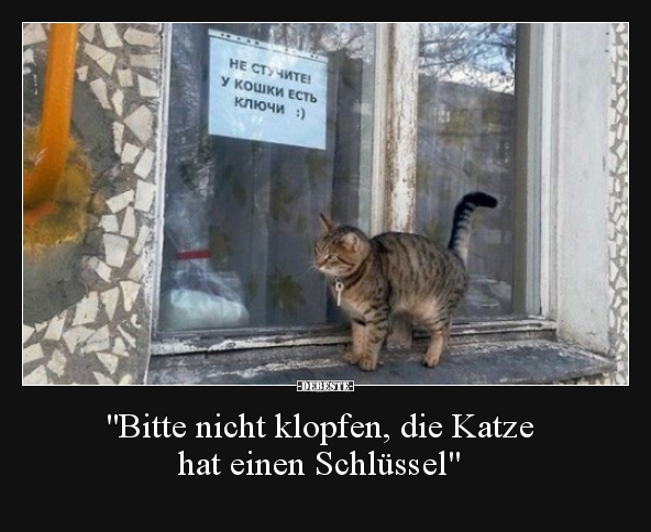 "Bitte nicht klopfen, die Katze hat einen Schlüssel"..
