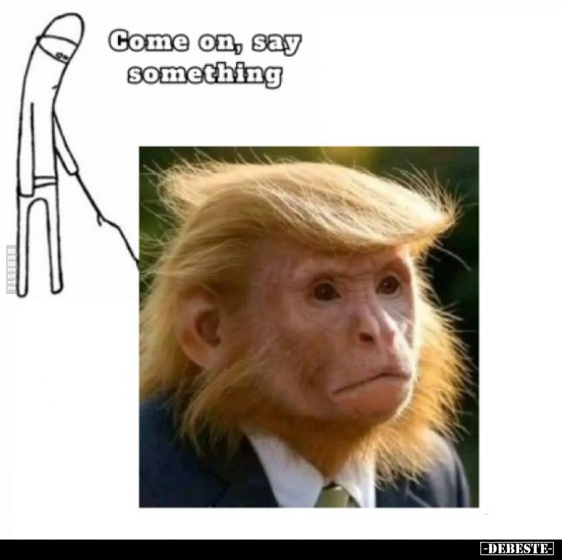  - Lustige Bilder | DEBESTE.de