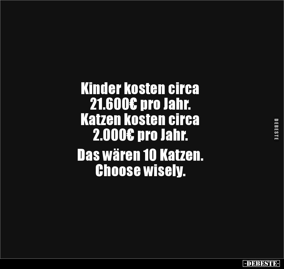 Kinder kosten circa 
21.600€ pro Jahr. 
Katzen kosten circa 
2.000€ pro Jahr. 

Das wären 10 Katzen. 
Choose wisely.
