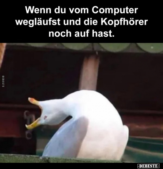 Wenn du vom Computer wegläufst und die Kopfhörer noch auf.. - Lustige Bilder | DEBESTE.de