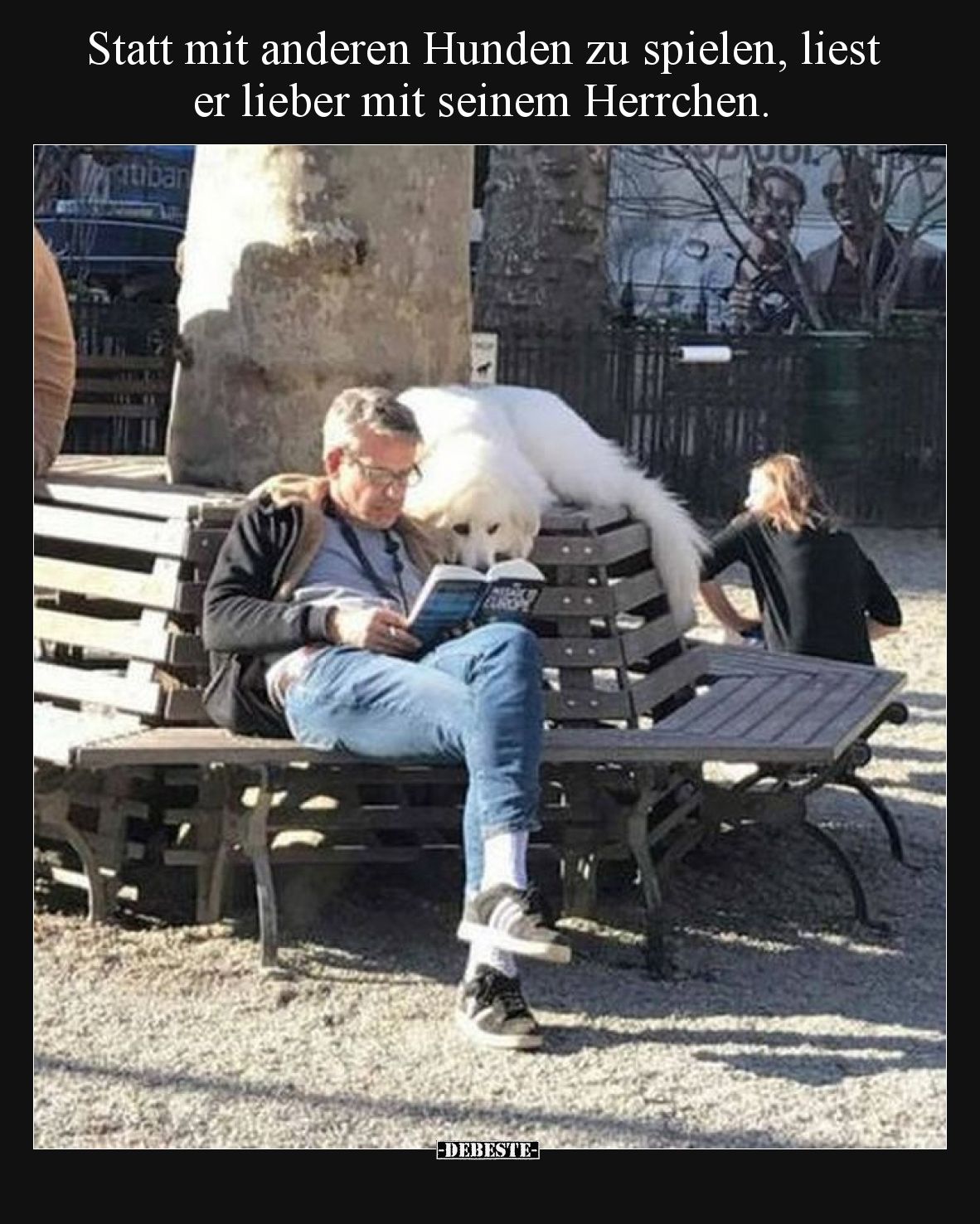 Statt mit anderen Hunden zu spielen, liest er lieber mit seinem Herrchen.