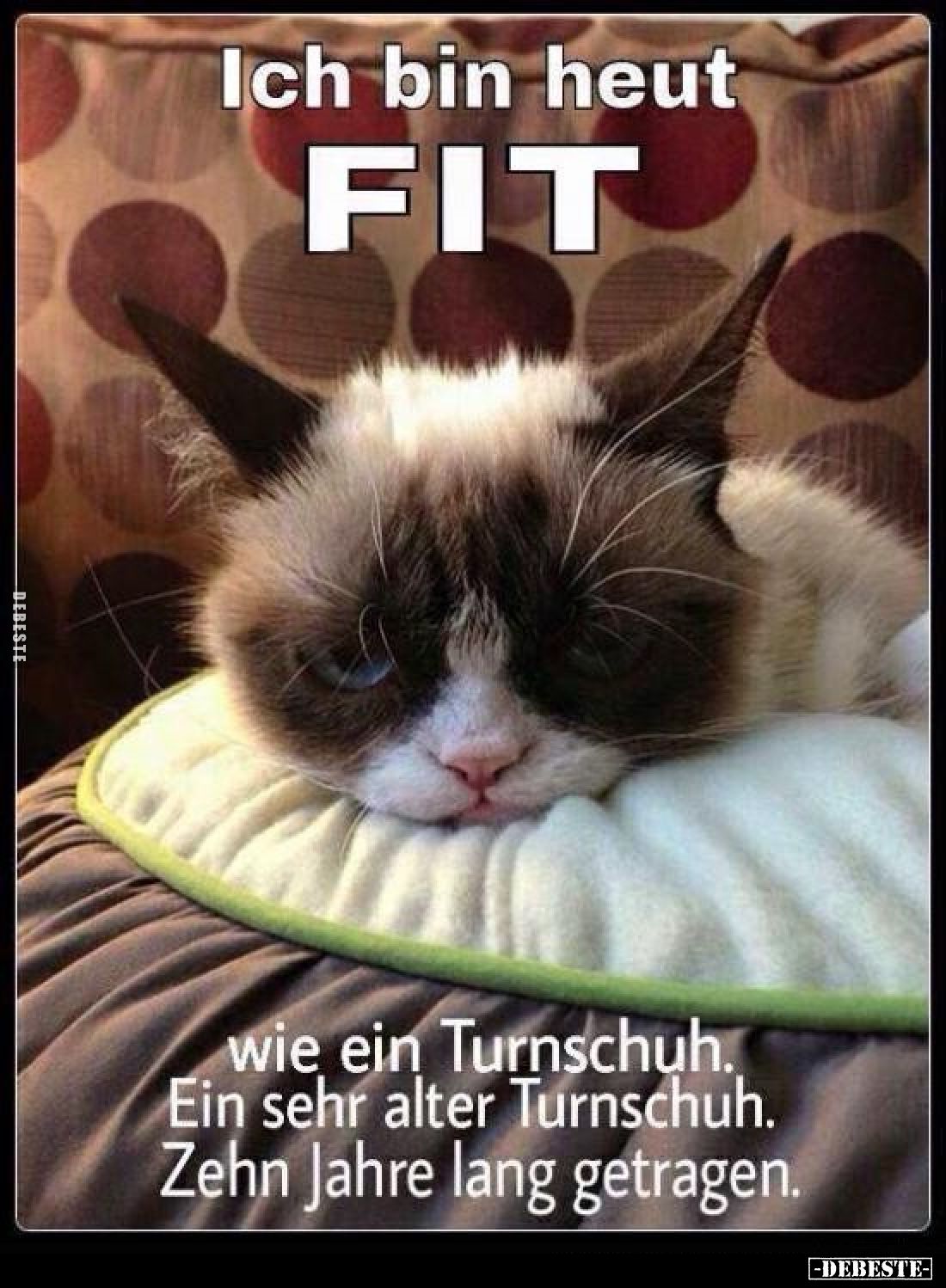 Ich bin heut
FIT
wie ein Turnschuh.
Ein sehr alter Turnschuh.
Zehn Jahre lang getragen.