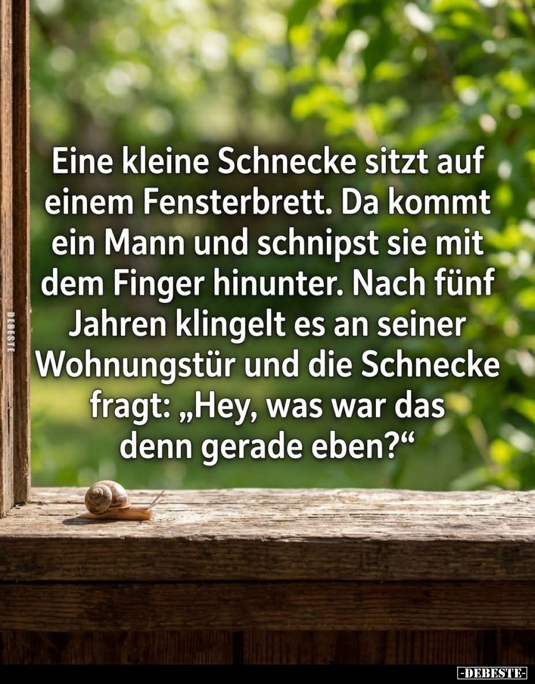 Eine kleine Schnecke sitzt auf einem Fensterbrett. Da kommt ein Mann und schnipst sie mit dem Finger hinunter. Nach fünf Jahr...