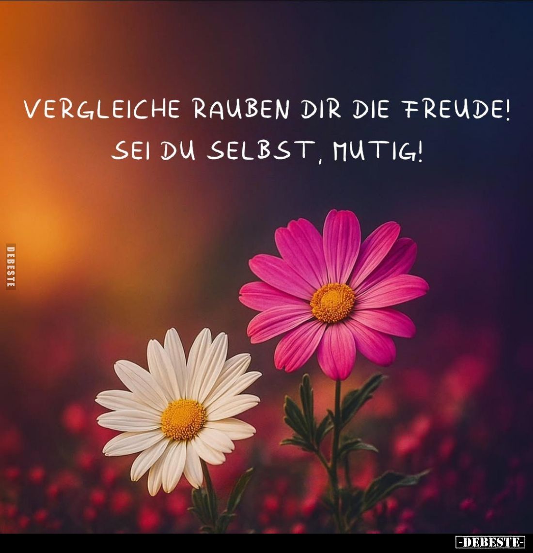 Vergleiche rauben dir die Freude! Sei du selbst, mutig!