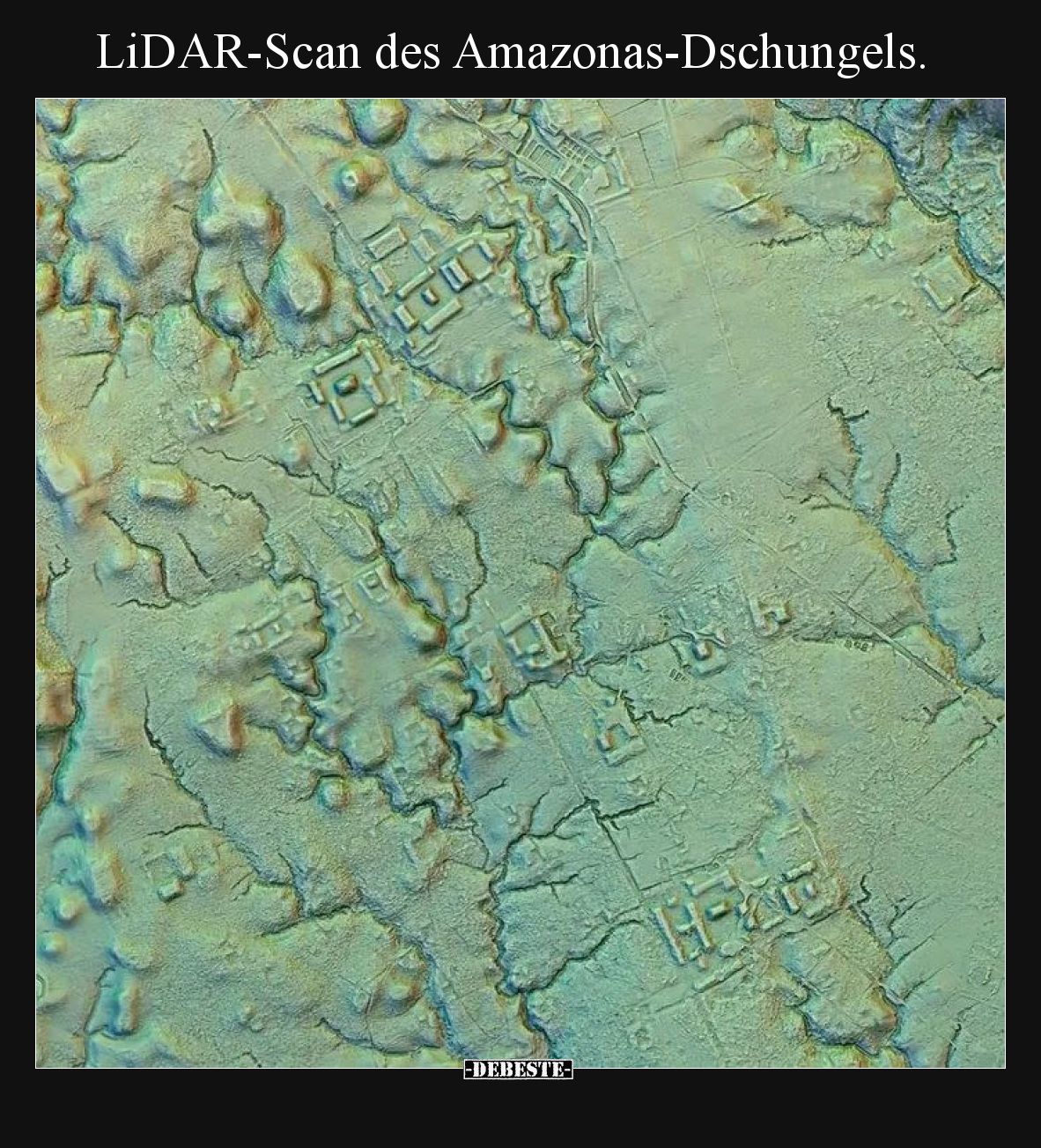 LiDAR-Scan des Amazonas-Dschungels.
