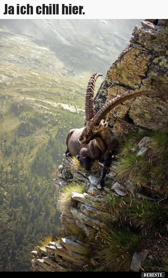 Ja ich chill hier...