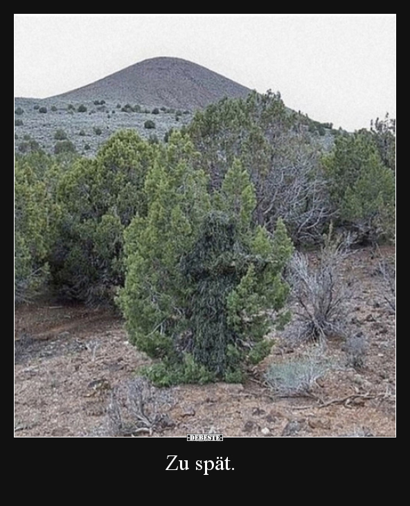 Zu spät...
