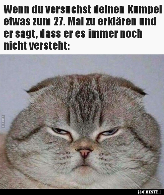 Wenn du versuchst deinen Kumpel etwas zum 27. Mal zu..