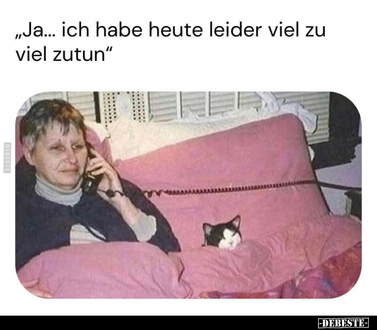 "Ja... ich habe heute leider viel zu viel zutun".. - Lustige Bilder | DEBESTE.de