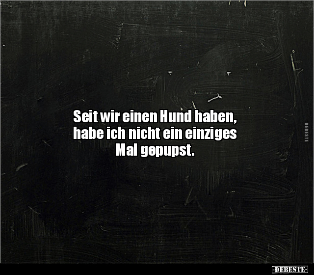 Seit wir einen Hund haben, habe ich nicht ein einziges.. - Lustige Bilder | DEBESTE.de