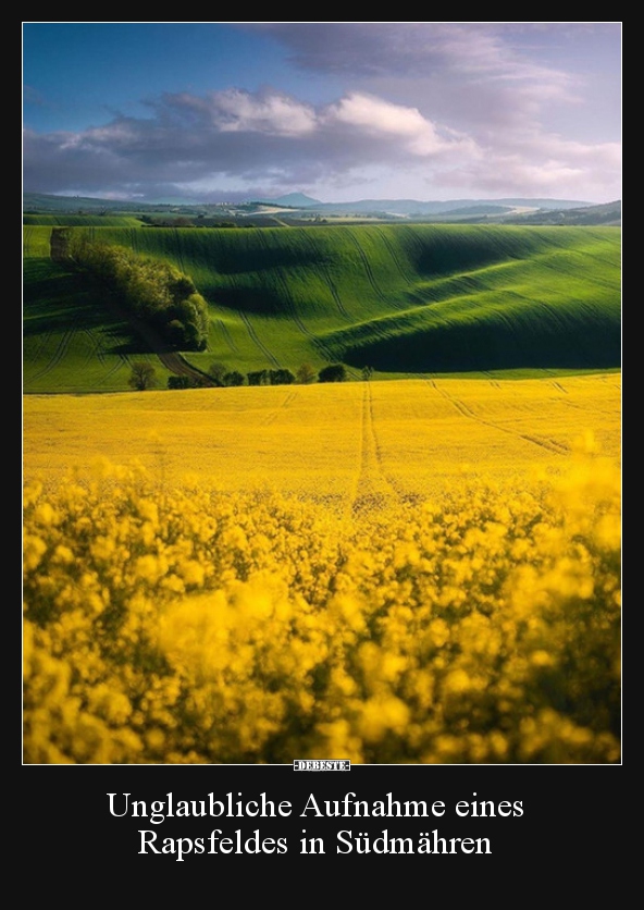 Unglaubliche Aufnahme eines Rapsfeldes in Südmähren..