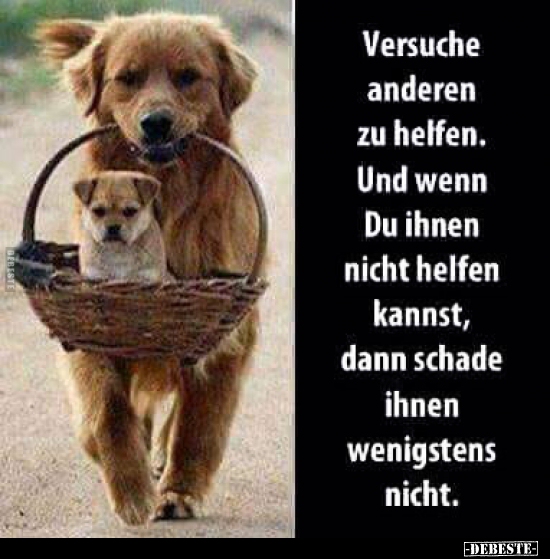 Versuche anderen zu helfen. Und wenn Du ihnen nicht..