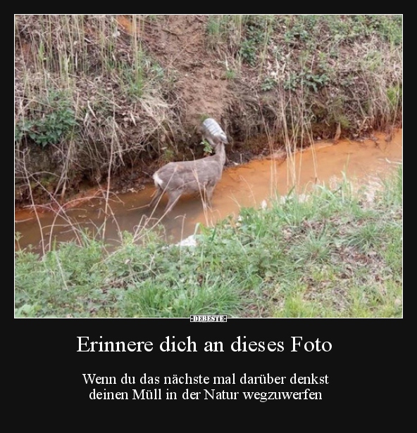 Erinnere dich an dieses Foto, wenn du das nächste mal..