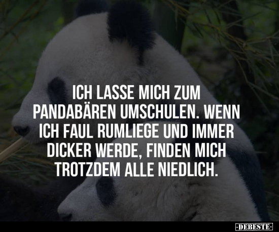 Ich lasse mich zum Pandabären umschulen. Wenn ich faul.. - Lustige Bilder | DEBESTE.de