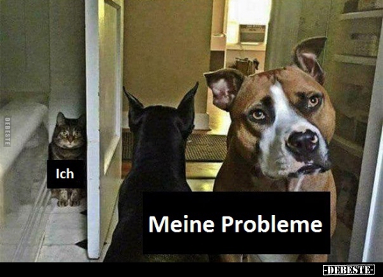 Ich / Meine Probleme..
