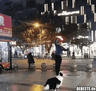 Kleiner Spaß mit dem Hund..