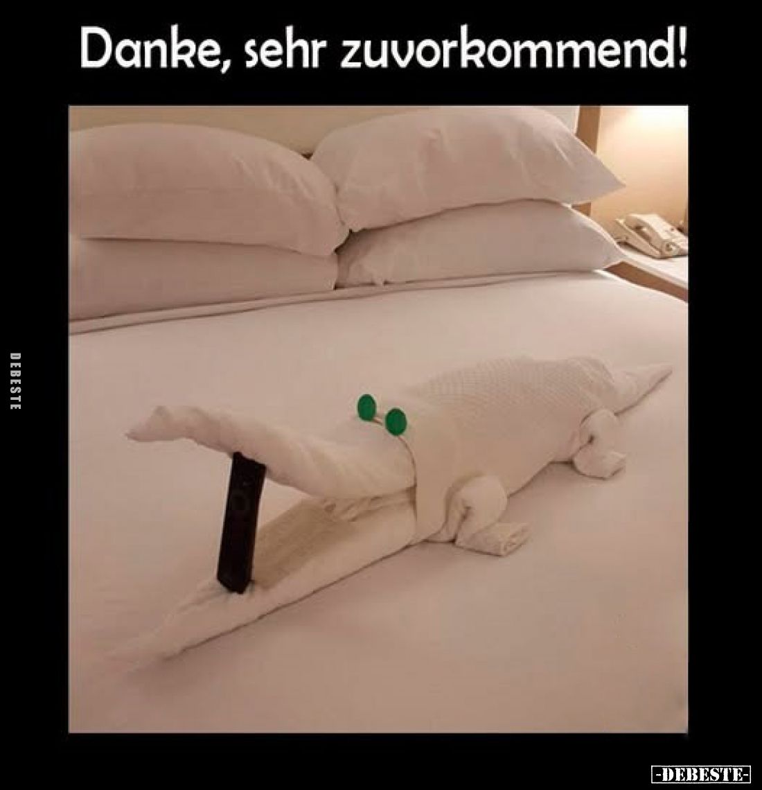 Danke, sehr zuvorkommend!
