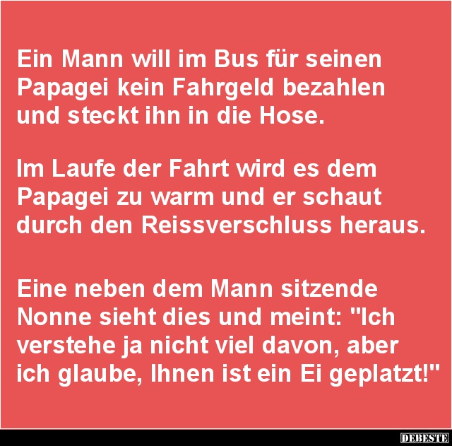 Ein Mann will im Bus für seinen Papagei kein Fahrgeld.. - Lustige Bilder | DEBESTE.de