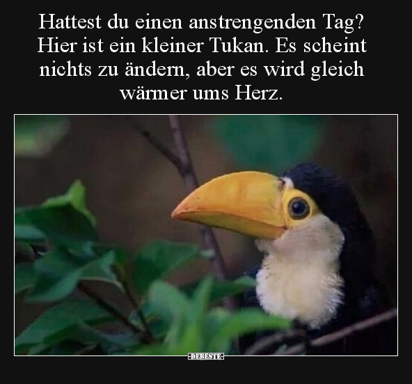 Hattest du einen anstrengenden Tag? Hier ist ein kleiner.. - Lustige Bilder | DEBESTE.de