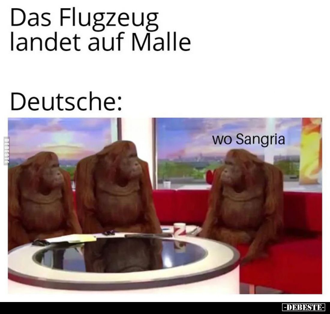 Das Flugzeug landet auf Malle.
Deutsche:
wo Sangria.