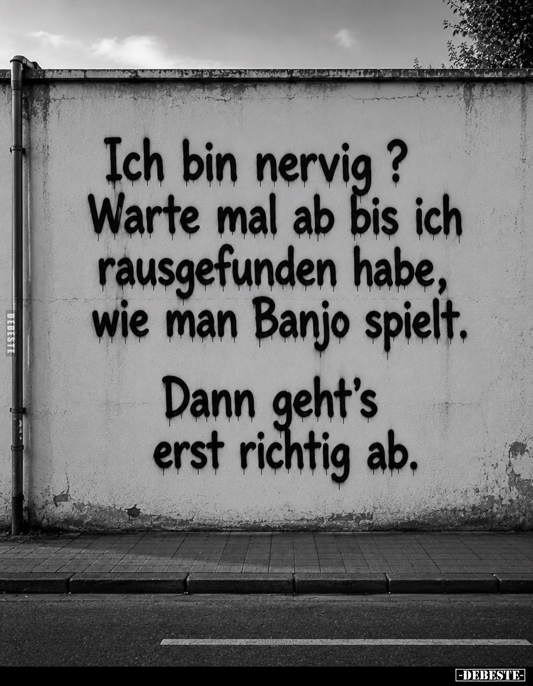 Ich bin nervig?
Warte mal ab bis ich rausgefunden habe, wie man Banjo spielt.
Dann geht's erst richtig ab.