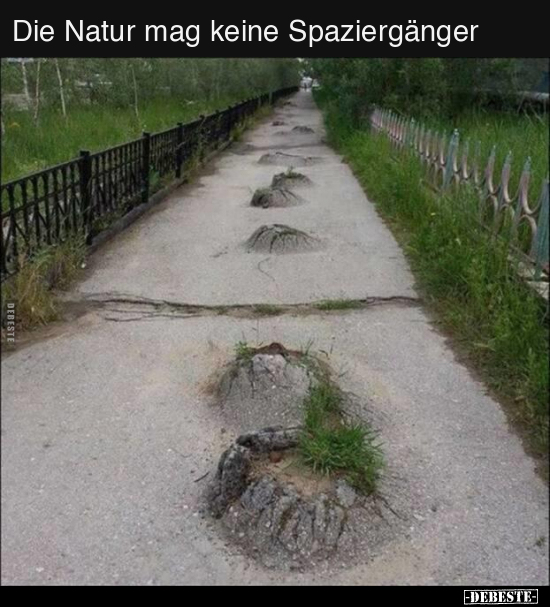 Die Natur mag keine Spaziergänger.. - Lustige Bilder | DEBESTE.de