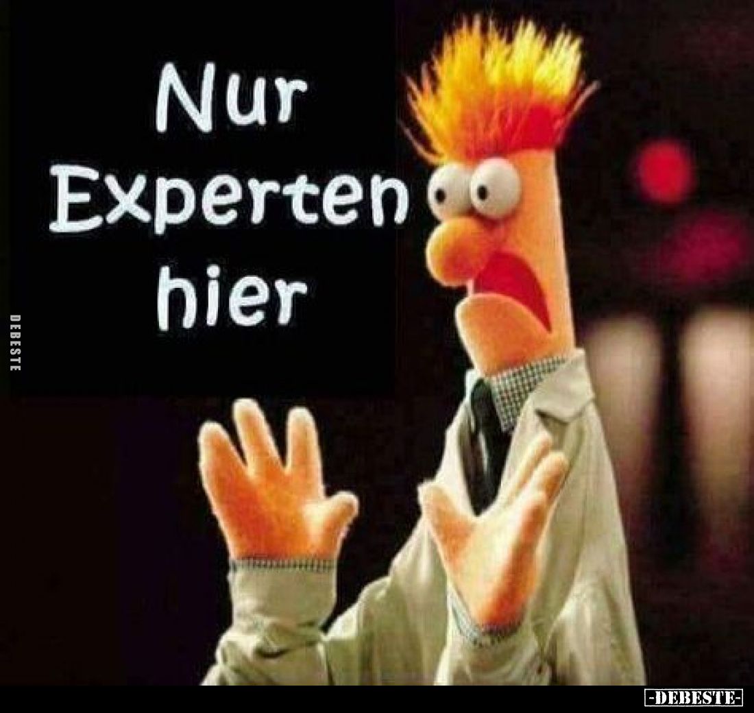 Nur Experten hier.
