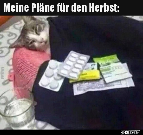 Meine Pläne für den Herbst.. - Lustige Bilder | DEBESTE.de