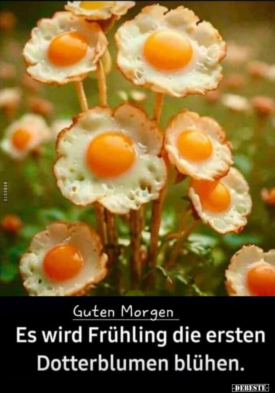 Guten Morgen.. - Lustige Bilder | DEBESTE.de