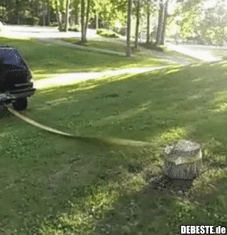 Die Dummheit kennt keine Grenzen..