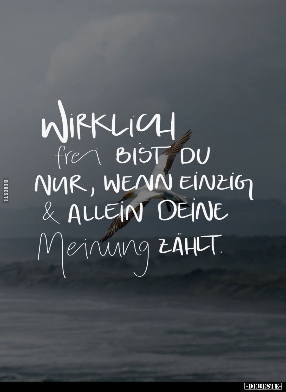 Wirklich frei bist du nur, wenn einzig & allein deine Meinung zählt.