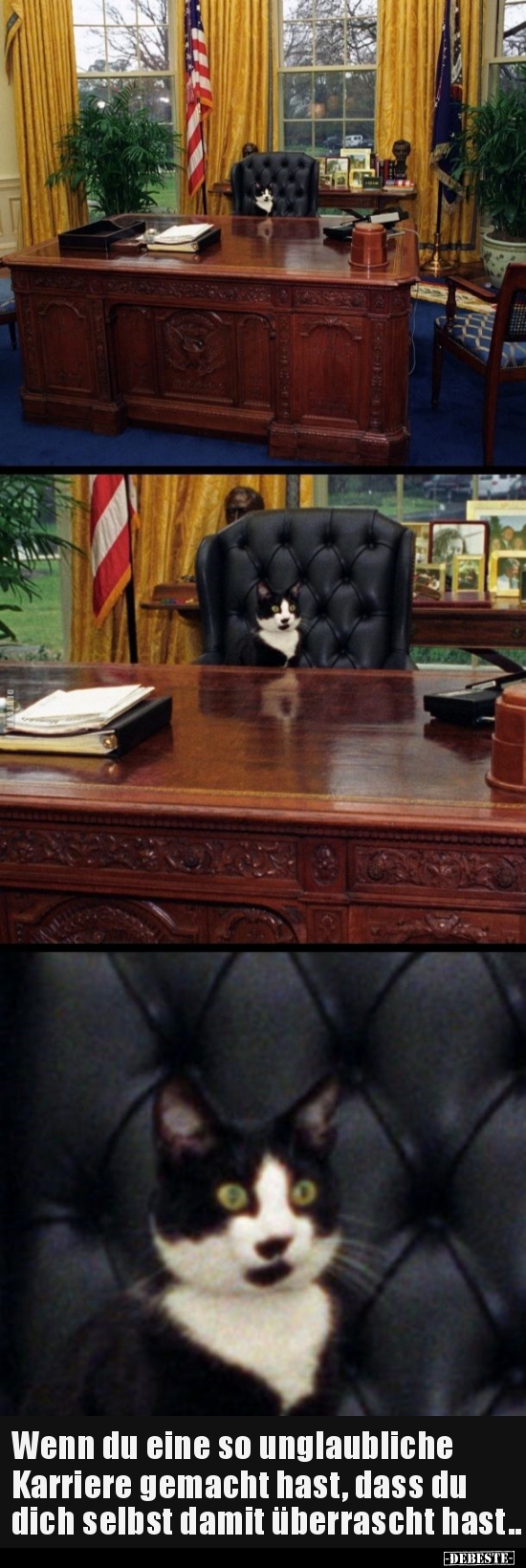 Wenn du eine so unglaubliche Karriere gemacht hast, dass..