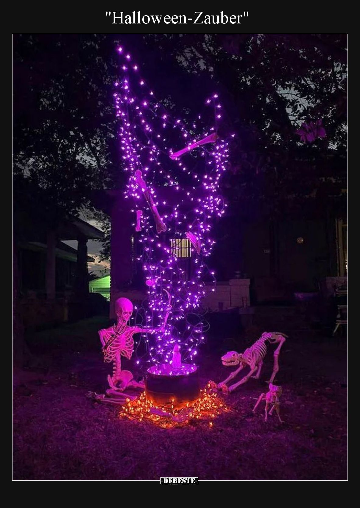 "Halloween-Zauber"