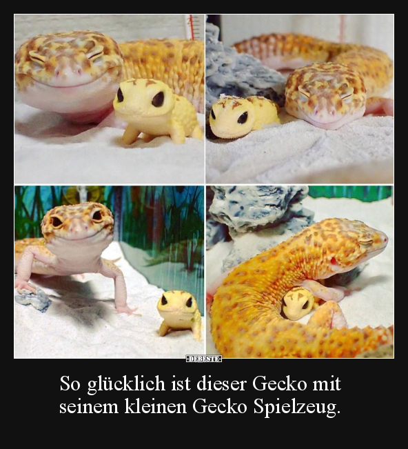 So glücklich ist dieser Gecko mit seinem kleinen Gecko.. - Lustige Bilder | DEBESTE.de