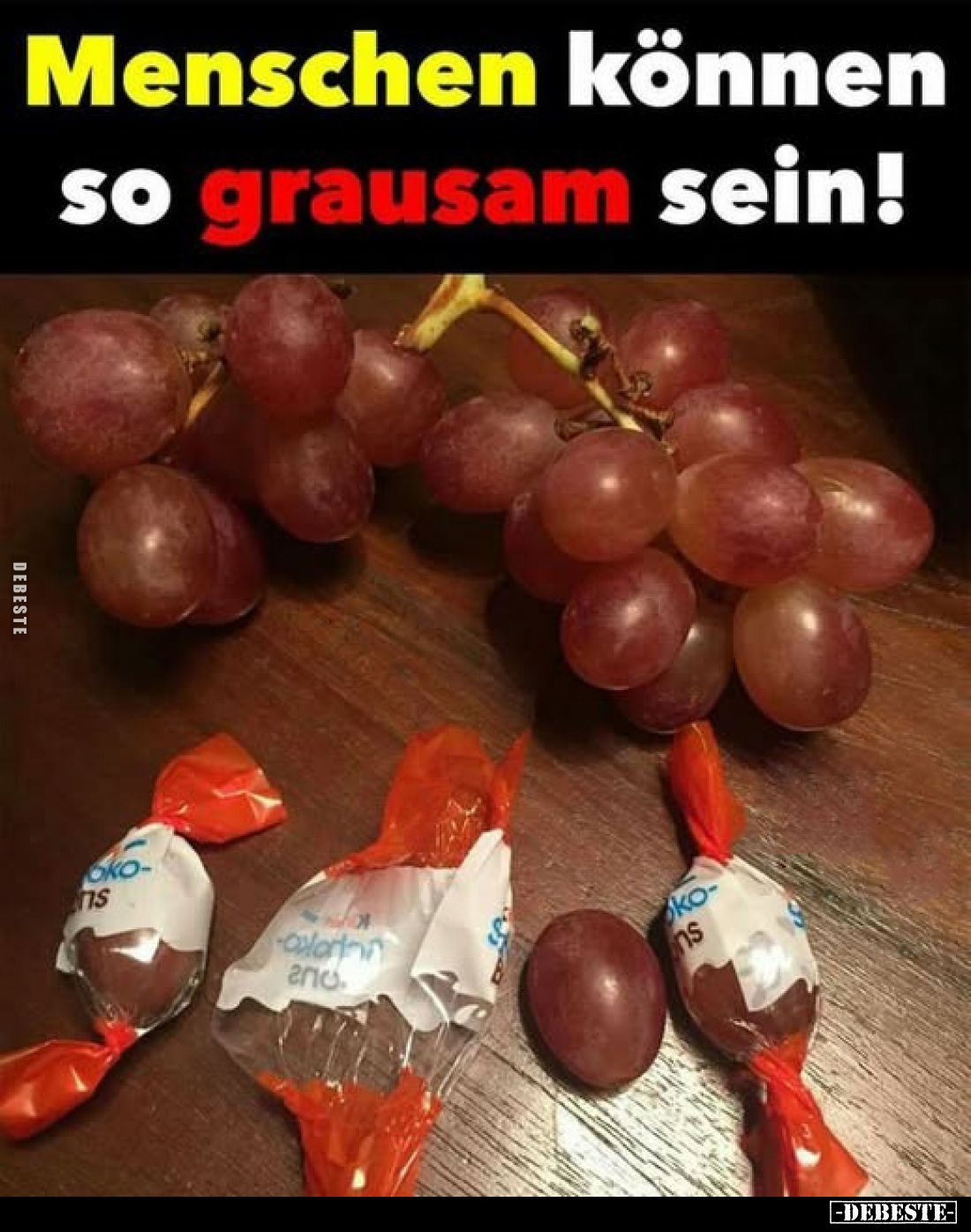Menschen können so grausam sein!