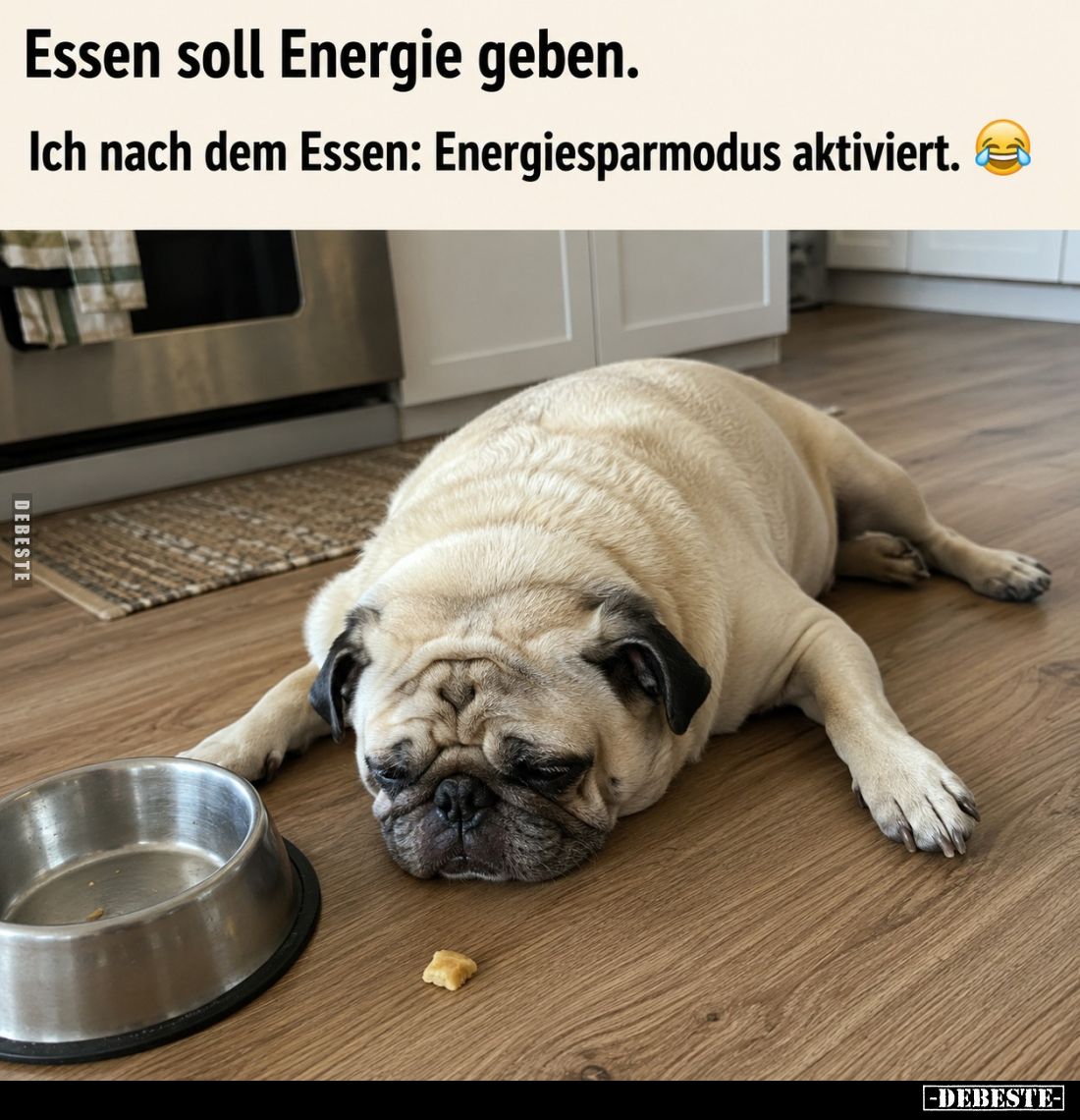 Essen soll Energie geben. -
Ich nach dem Essen: Energiesparmodus aktiviert.