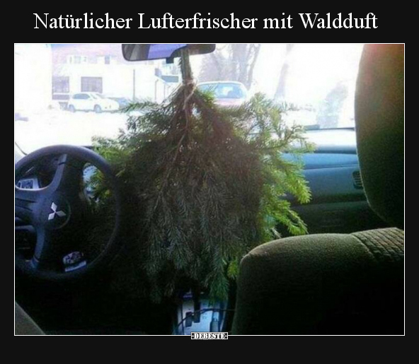 Natürlicher Lufterfrischer mit Waldduft.. - Lustige Bilder | DEBESTE.de