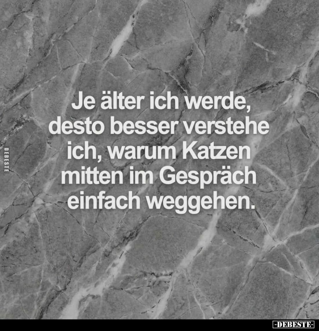 Je älter ich werde, desto besser verstehe ich, warum Katzen mitten im Gespräch einfach weggehen.