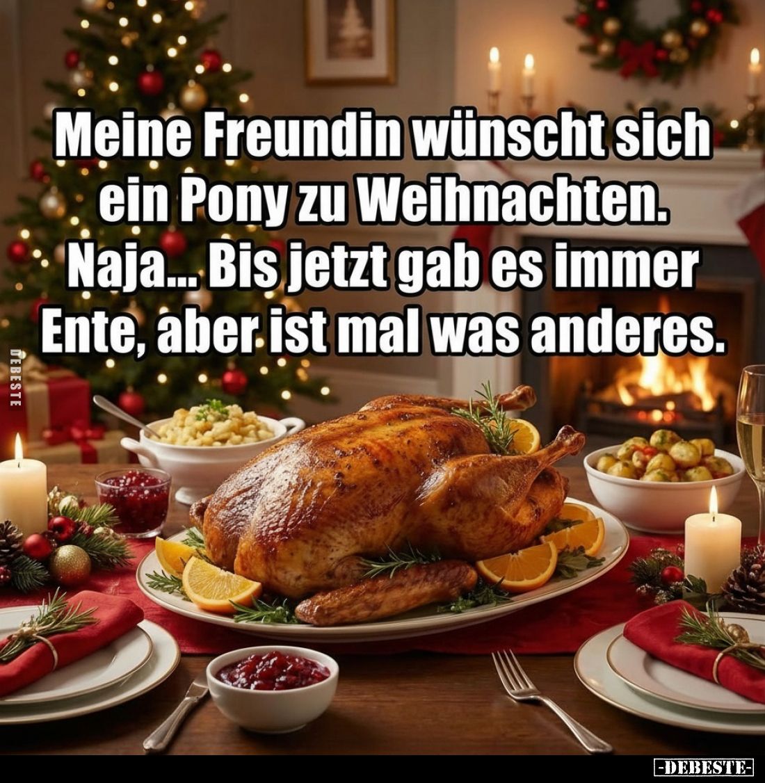 Meine Freundin wünscht sich ein Pony zu Weihnachten. Naja... Bis jetzt gab es immer Ente, aber ist mal was anderes.