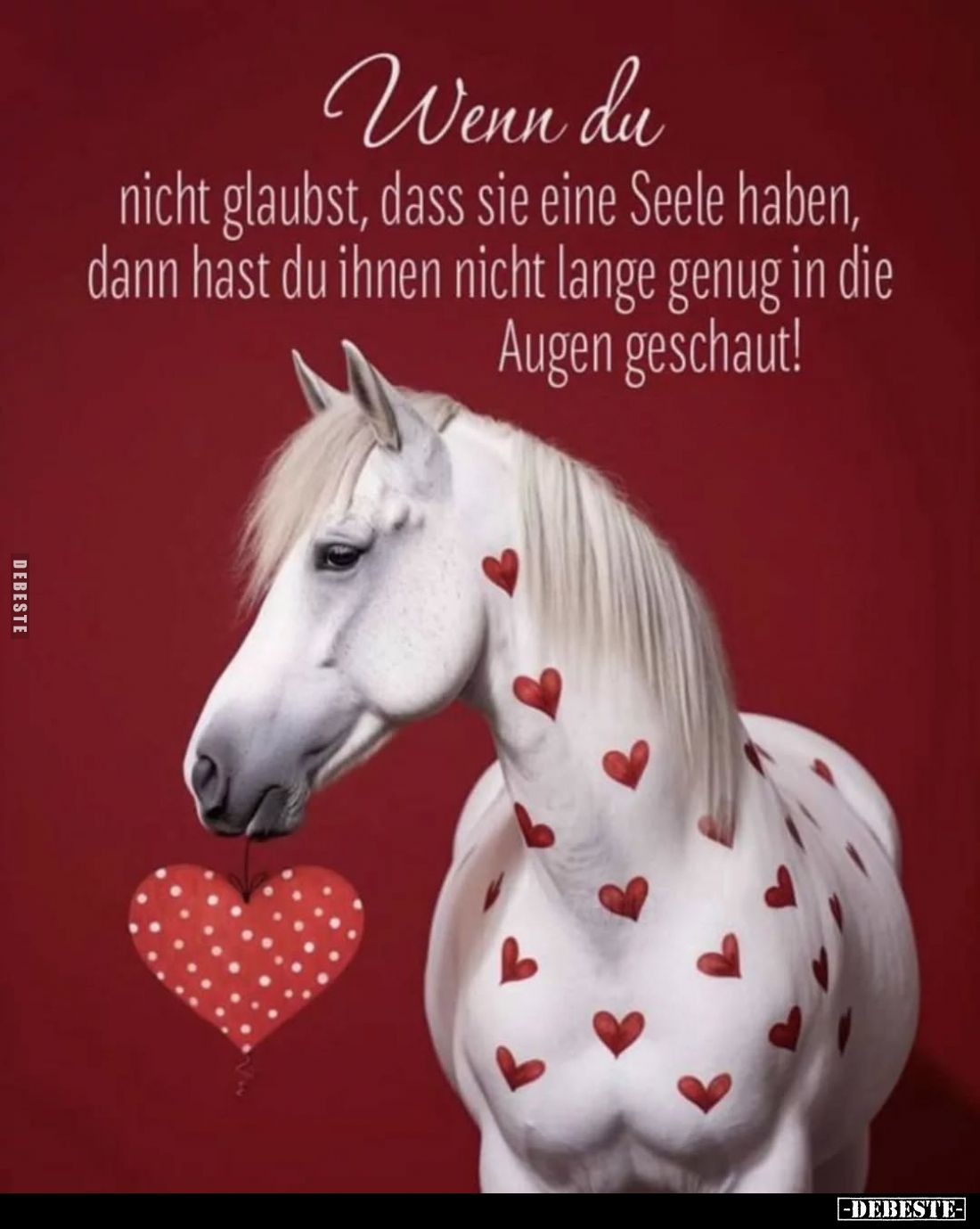 Wenn du
nicht glaubst, dass sie eine Seele haben, dann hast du ihnen nicht lange genug in die Augen geschaut!