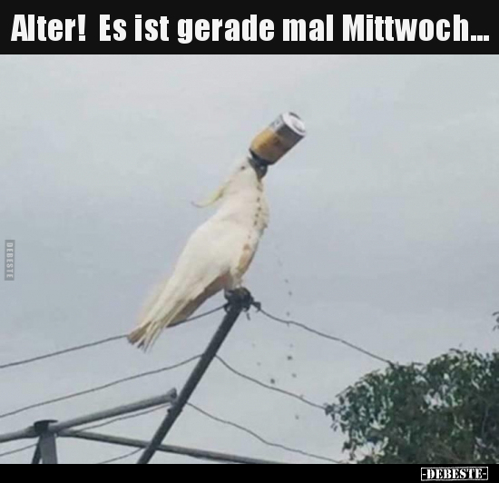 Alter! Es ist gerade mal Mittwoch...
