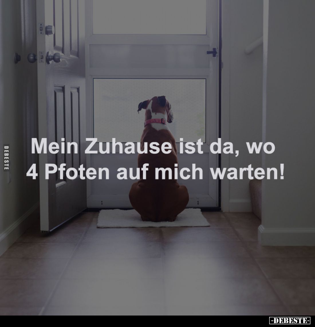Mein Zuhause ist da, wo 
4 Pfoten auf mich warten!