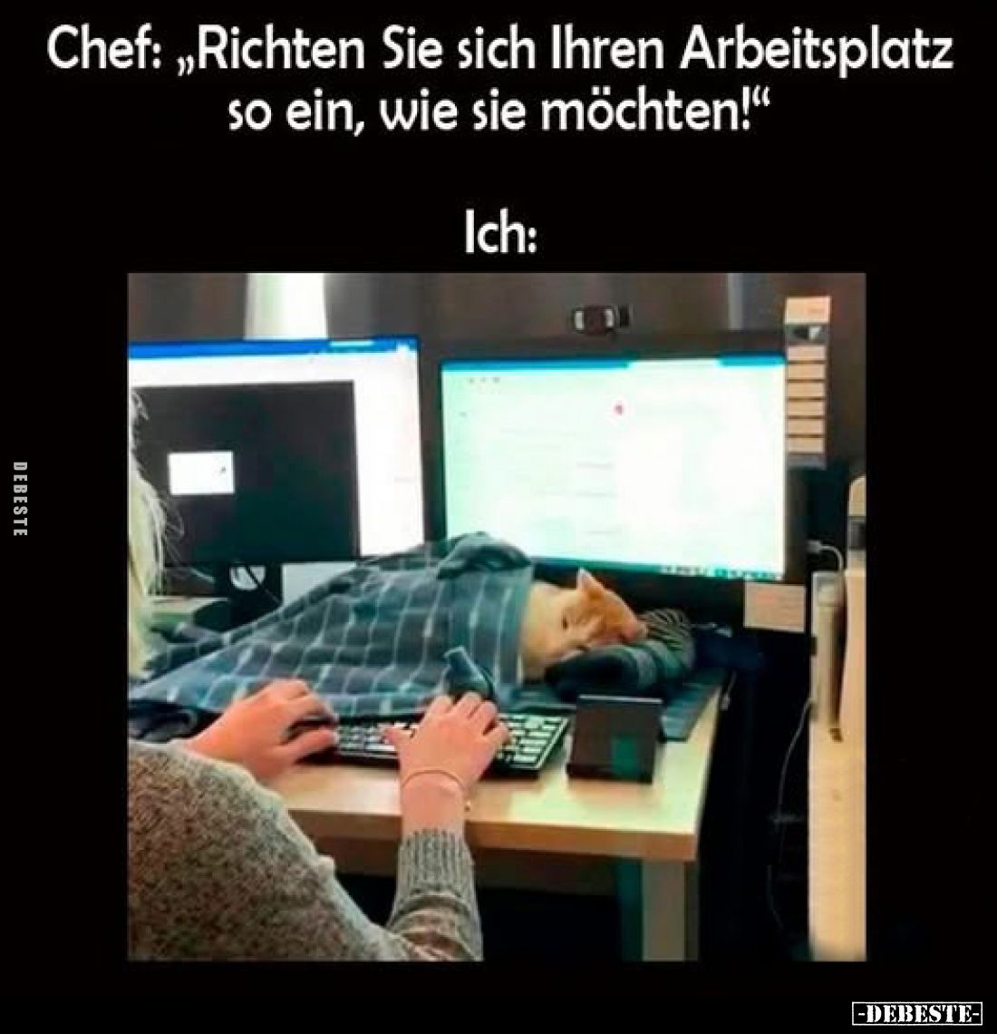 Chef: „Richten Sie sich Ihren Arbeitsplatz so ein, wie sie möchten!"
Ich: