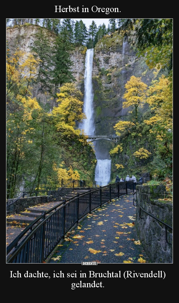 Herbst in Oregon. Ich dachte, ich sei in Bruchtal.. - Lustige Bilder | DEBESTE.de