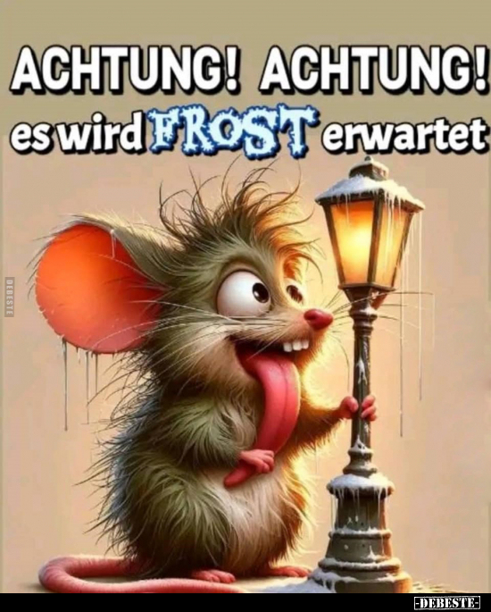 ACHTUNG! ACHTUNG! es wird FROST erwartet.. - Lustige Bilder | DEBESTE.de