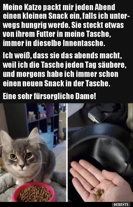 Meine Katze packt mir jeden Abend einen kleinen Snack ein.. - Lustige Bilder | DEBESTE.de